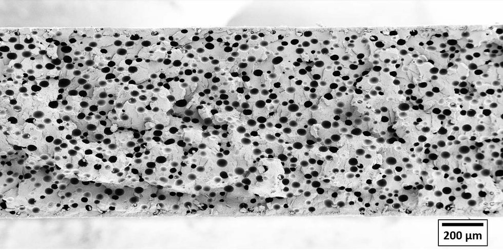 PRMP R004 PET cell structure.jpg