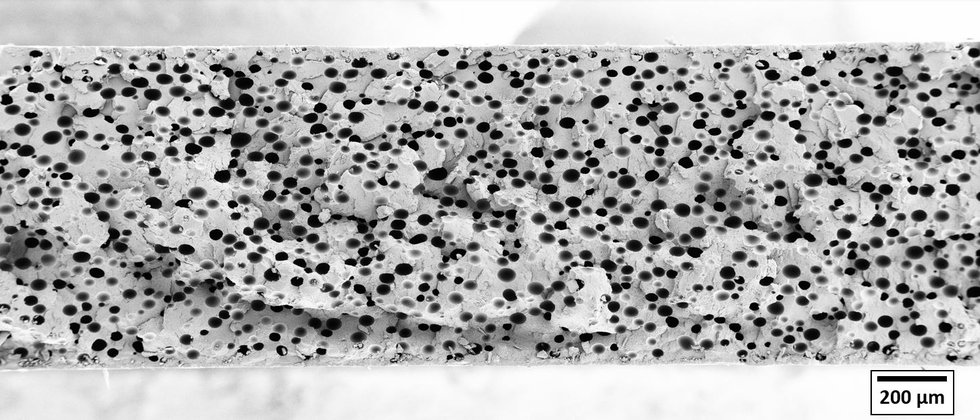 PRMPR010_1 Foamed film with Promix Microcell Technology.JPG